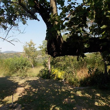 Leopard Tree Retreat Villa Mbombela Kültér fotó