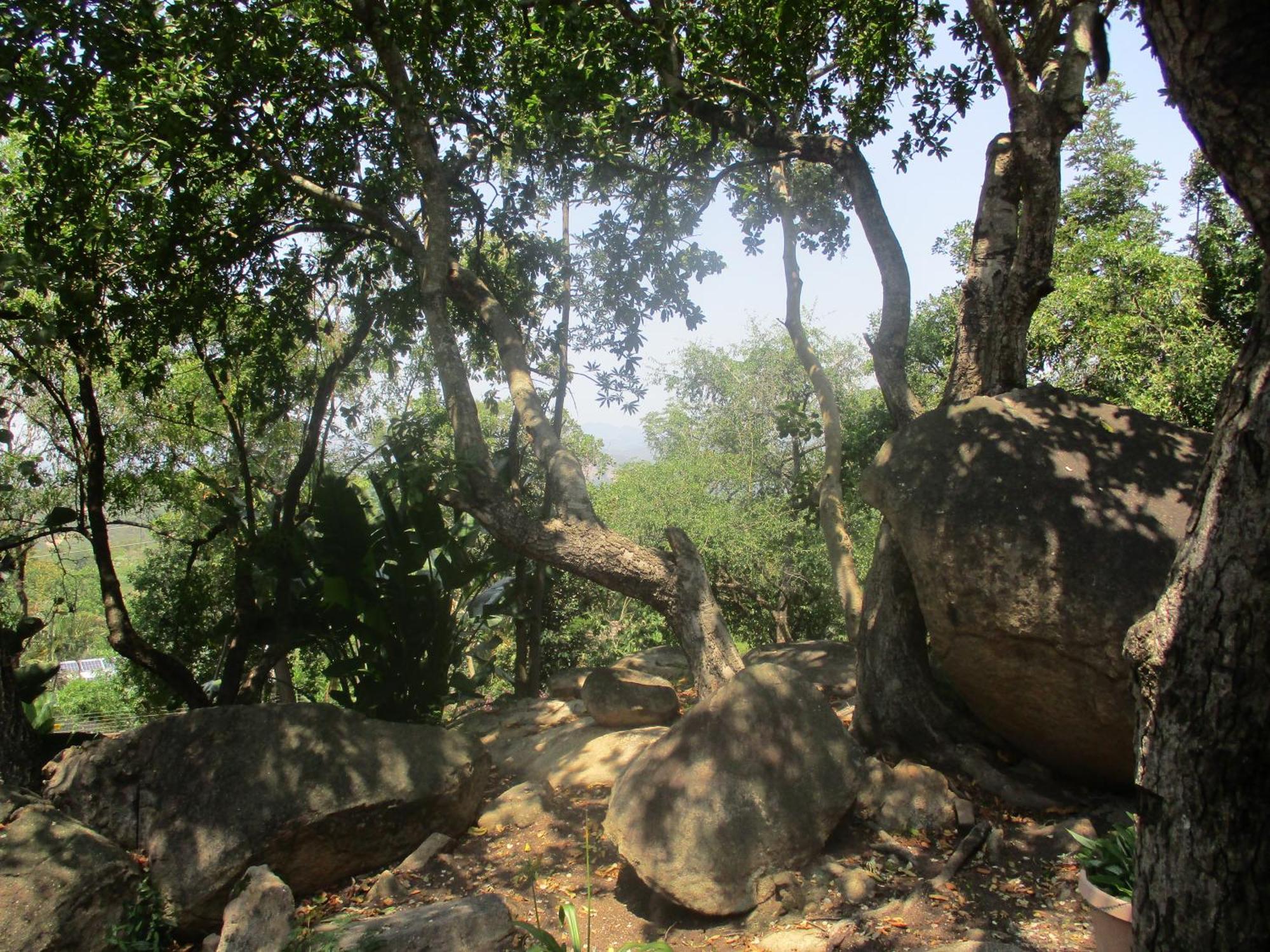 Leopard Tree Retreat Villa Mbombela Kültér fotó